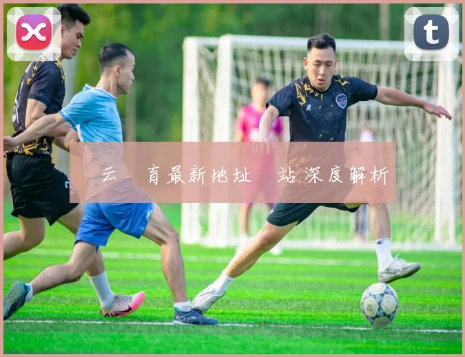 開云體育最新地址網站 深度解析