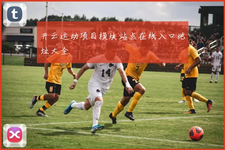 开云运动项目模块站点在线入口地址大全