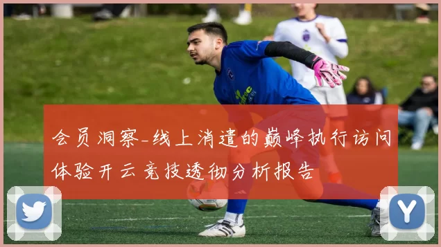 会员洞察_线上消遣的巅峰执行访问体验开云竞技透彻分析报告