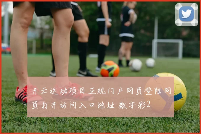开云运动项目正规门户网页登陆网页打开访问入口地址 数字彩2